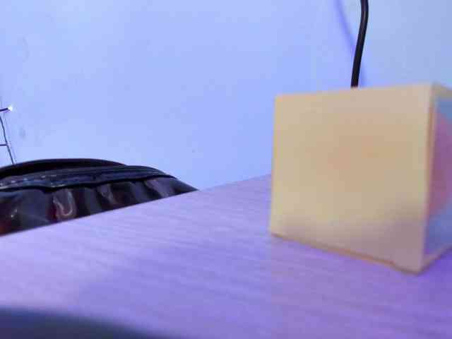 IsabellaSummer webcam