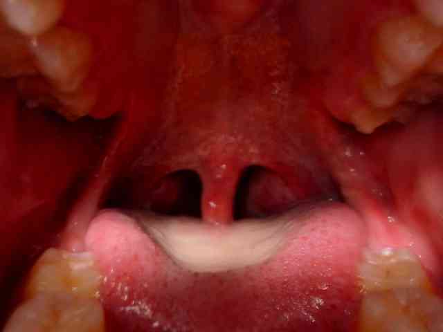 IsabellaSummer webcam