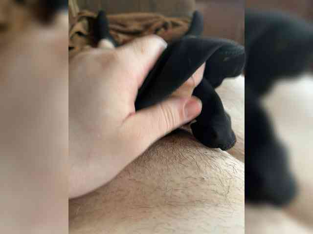 Mojjbik Live Webcam on BongaCams