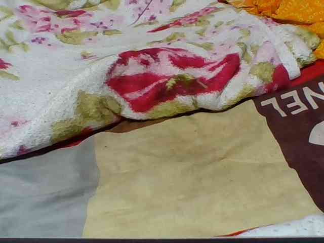 Josy-2 webcam