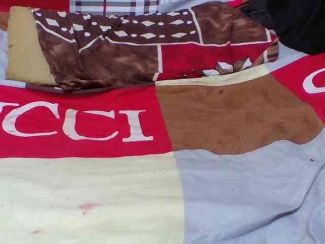Josy-2 webcam
