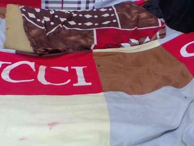 Josy-2 webcam