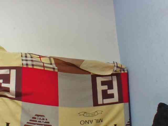 Josy-2 webcam