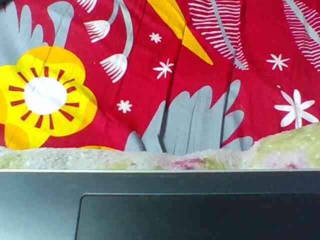 Josy-2
