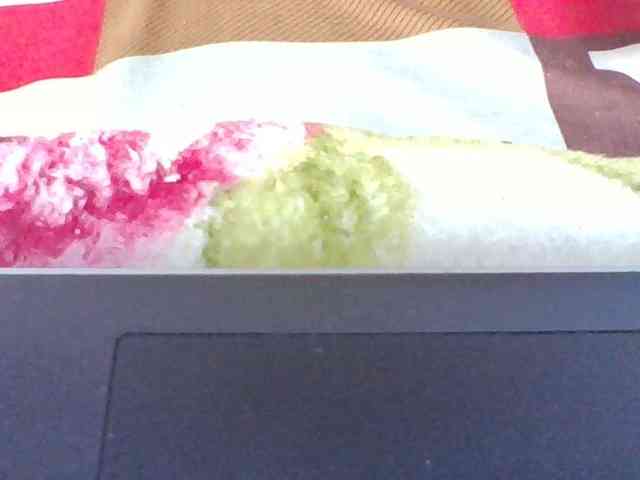 Josy-2 webcam