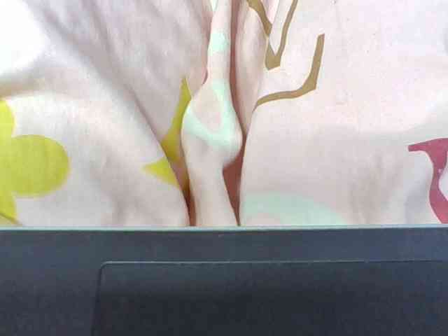 Josy-2 webcam
