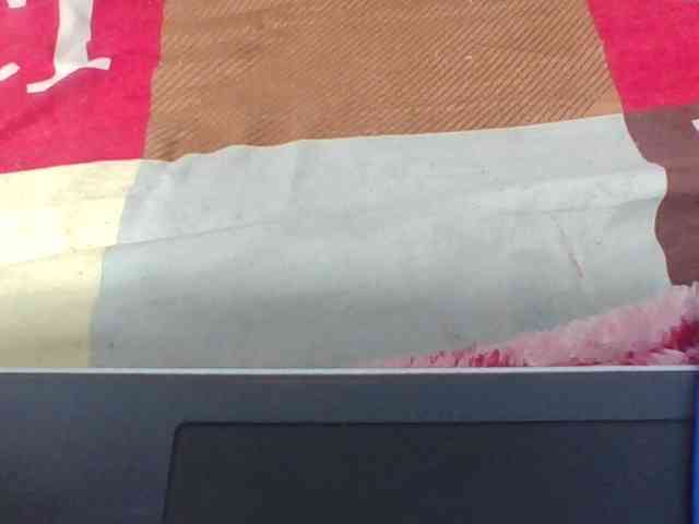 Josy-2 webcam