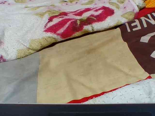 Josy-2 webcam