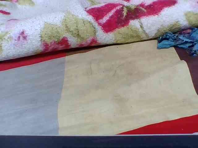Josy-2 webcam