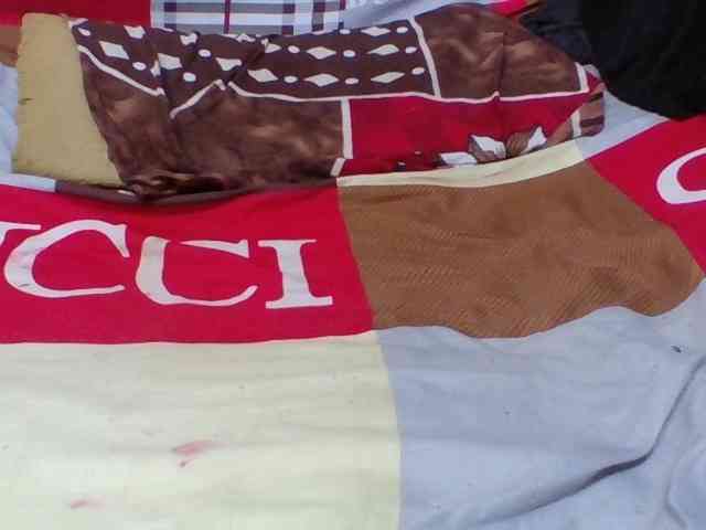 Josy-2 webcam