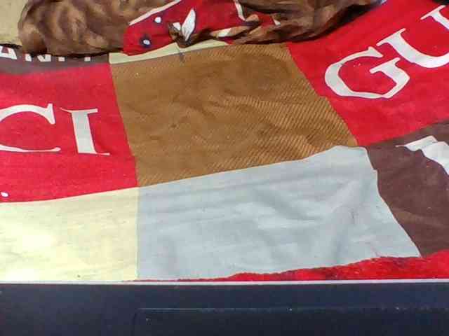 Josy-2