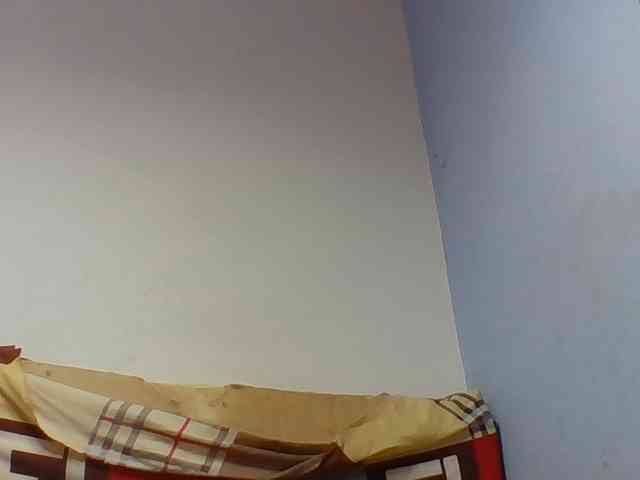 Josy-2 webcam