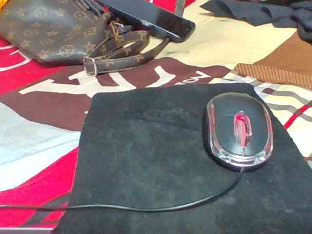 Josy-2 webcam
