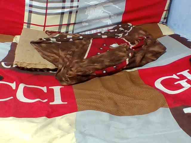 Josy-2