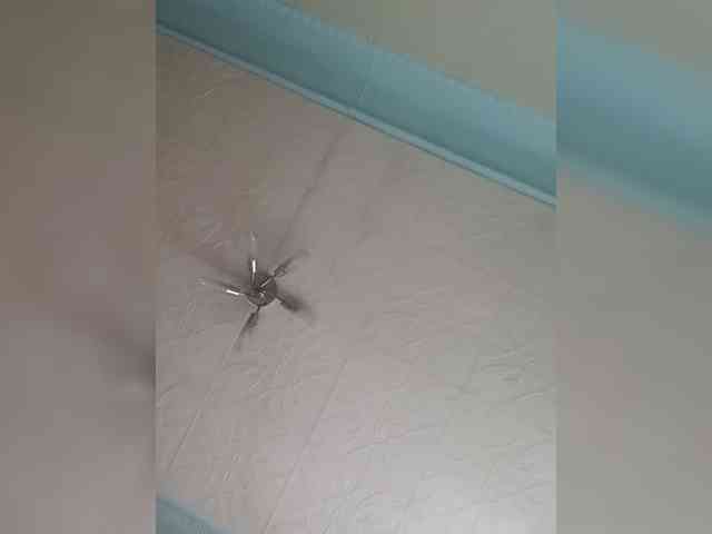 LUCIFER623311