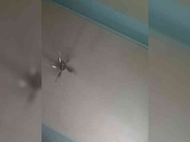 LUCIFER623311