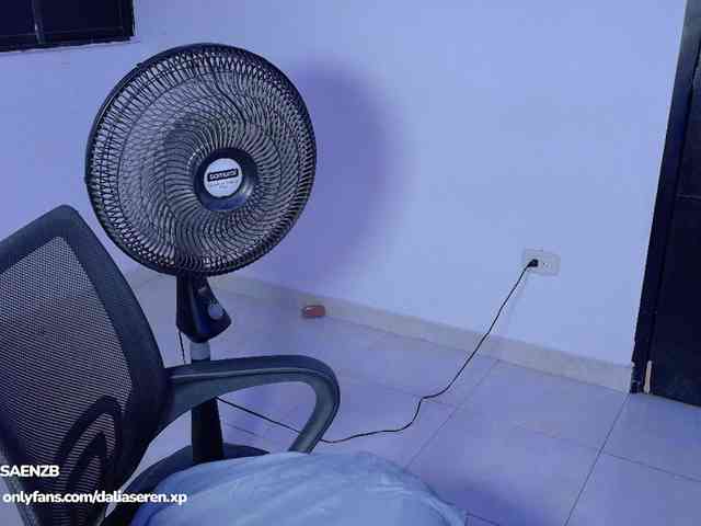 DaliaSeren webcam