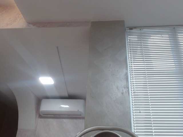 Preview of mane-prime