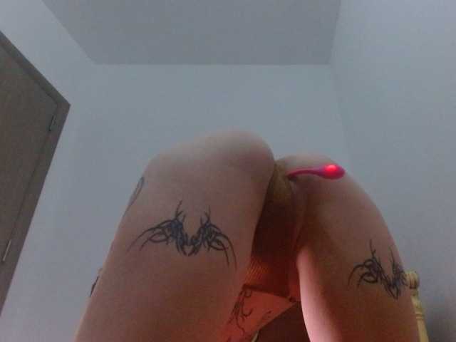 Mane-Prime, live now on BongaCams