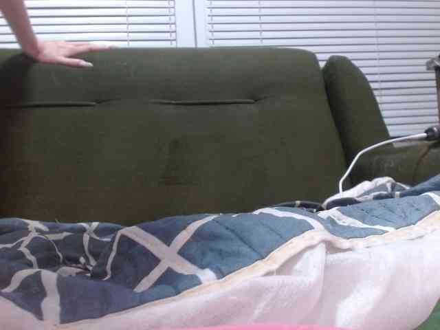 Mane-Prime webcam
