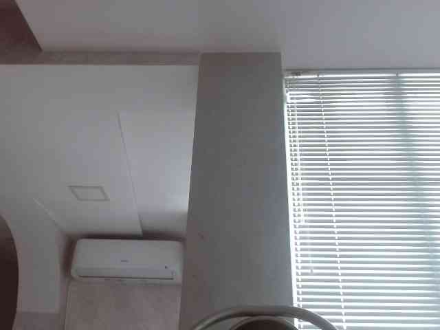 Mane-Prime webcam