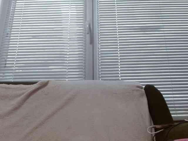 Mane-Prime webcam