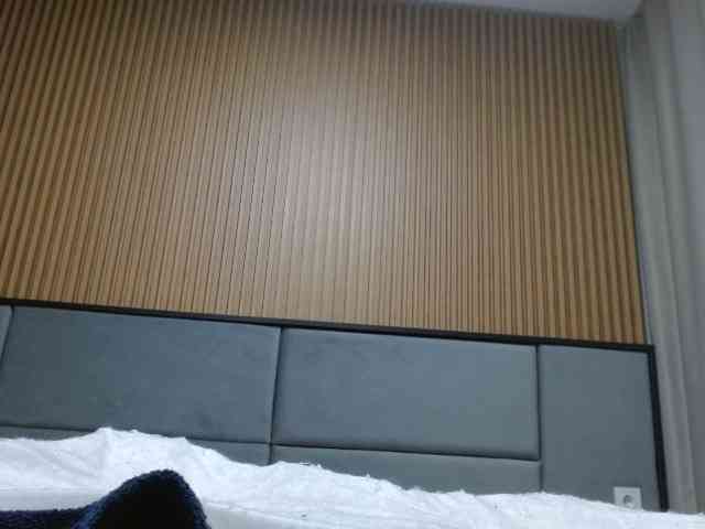 Mane-Prime webcam