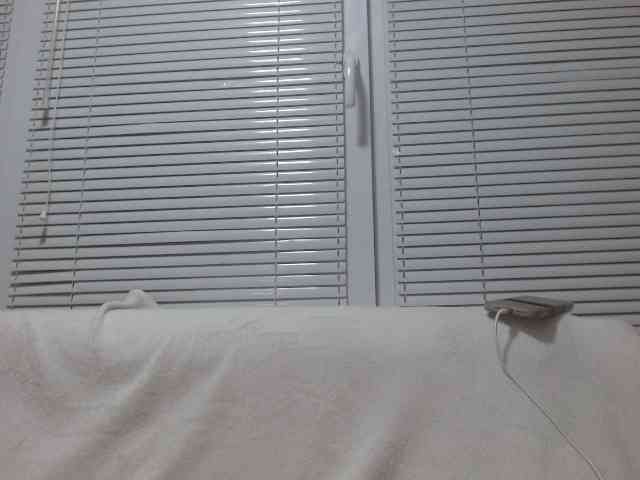 Mane-Prime webcam