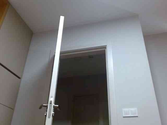Mane-Prime webcam