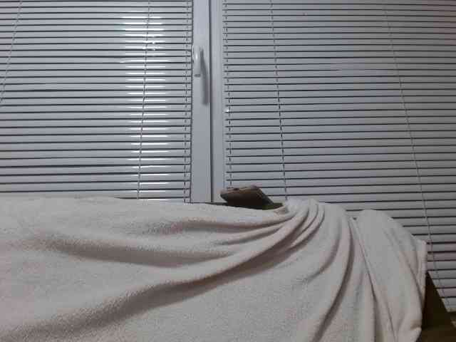 Mane-Prime webcam