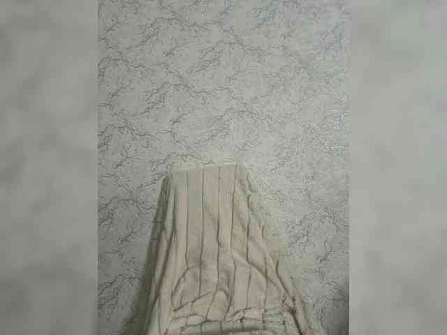 EmilliX webcam