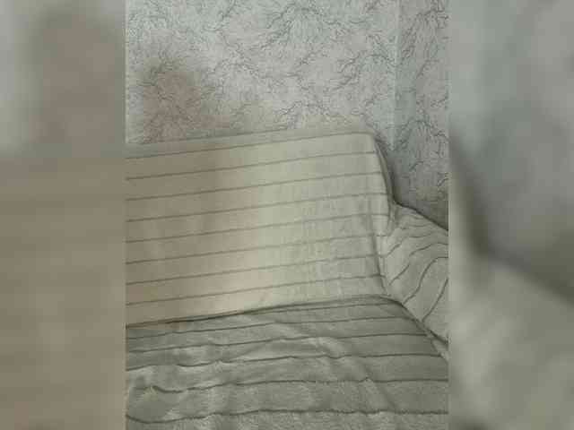 EmilliX webcam