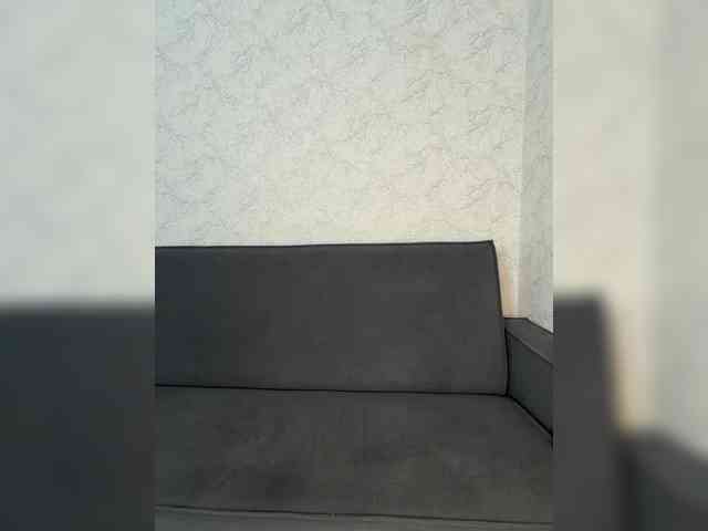 EmilliX webcam