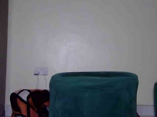 SallyB-1 webcam