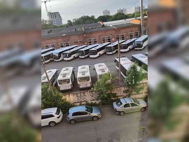 Mmvsd2310