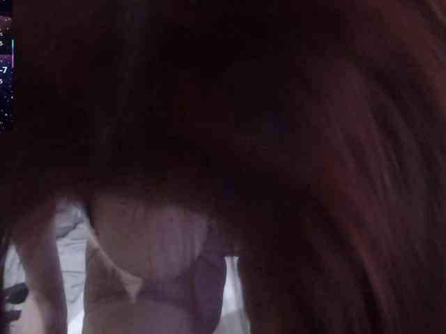 _Redhead_fox_ webcam