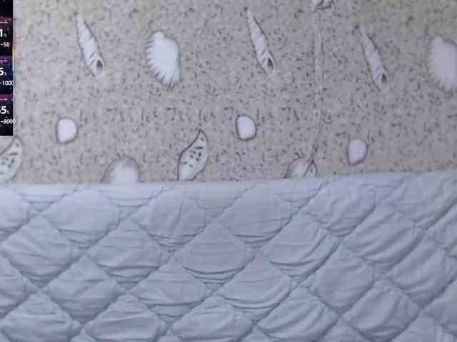 _Redhead_fox_ webcam