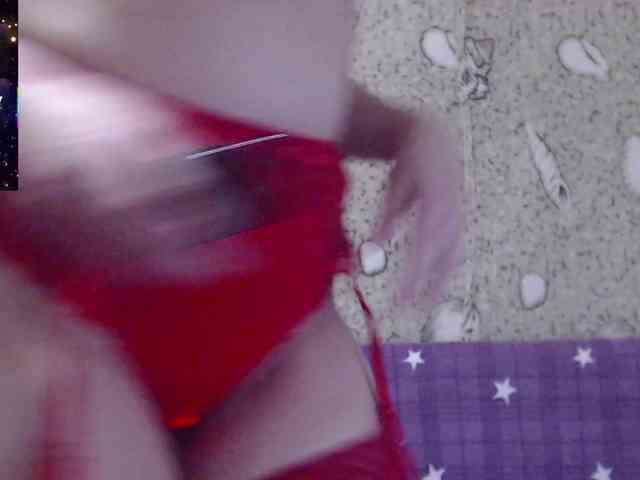 _Redhead_fox_ webcam