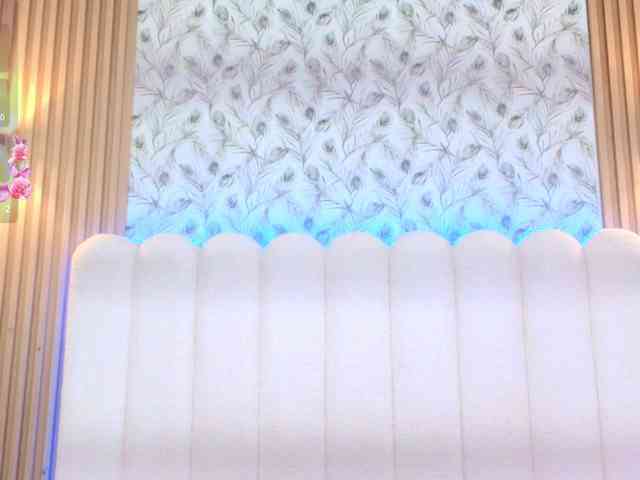 allyson-nahid webcam