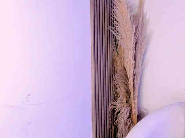 allyson-nahid webcam