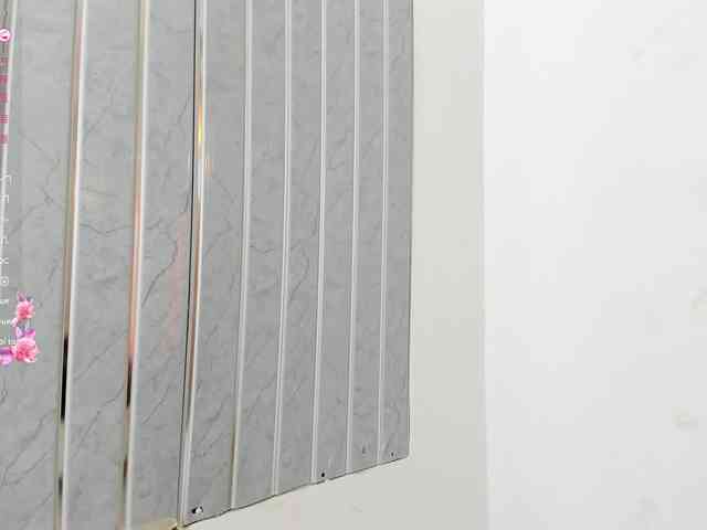 allyson-nahid webcam