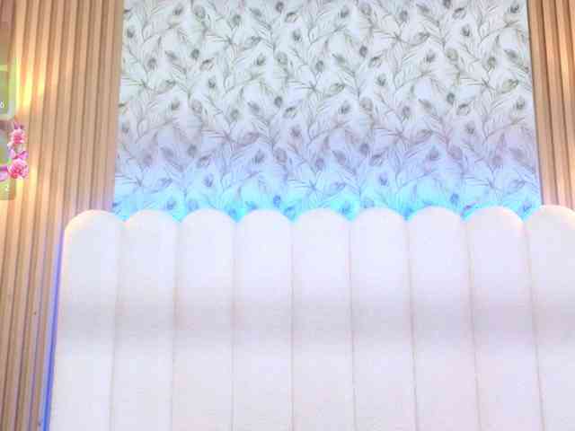 allyson-nahid webcam