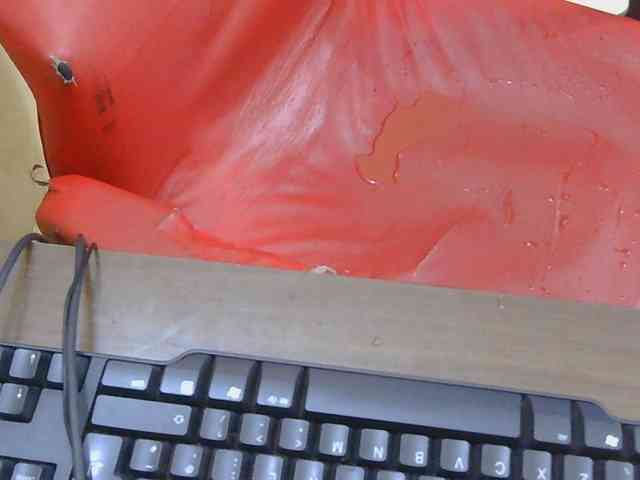 Prettymelvi webcam