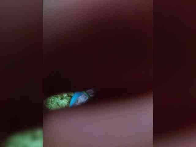 TheEmpathBoy420
