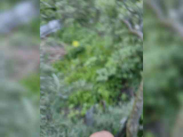 TheEmpathBoy420
