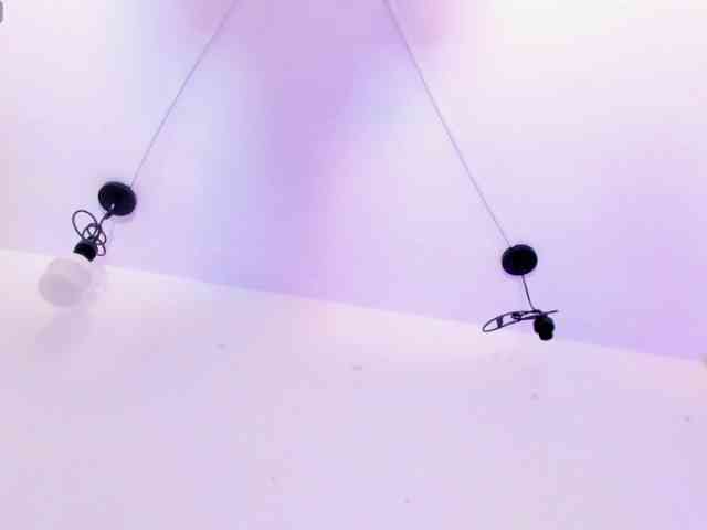 Katty-West webcam