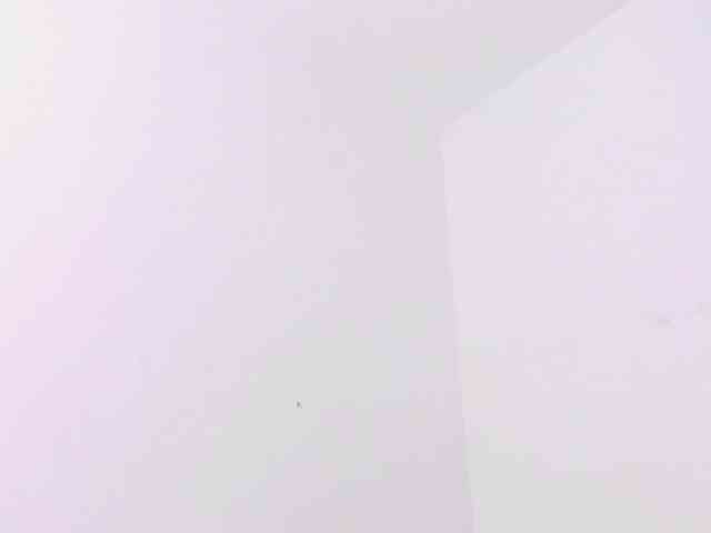 Katty-West webcam
