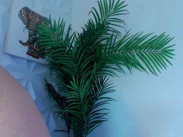 Katty-West webcam