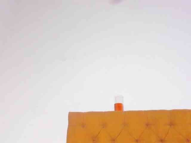 Katty-West webcam