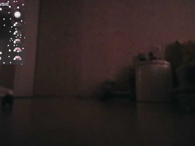 DominatriS, en directo ahora en BongaCams